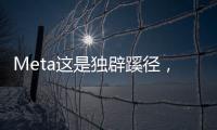 Meta这是独辟蹊径
，还是病急乱投医？