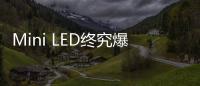 快排公司十年历程，霸屏兔 seo 的崛起与坚守