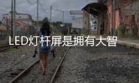 快排公司十年历程，霸屏兔 seo 的崛起与坚守