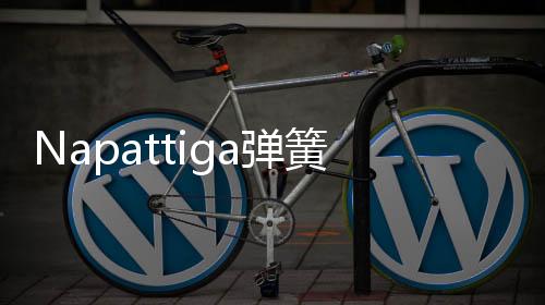 弹垫超打扰的睡天然乳胶