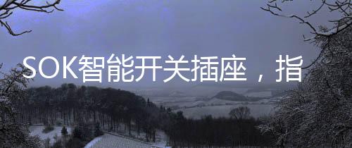 开发出了一系列智能开关插座