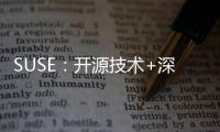 快排公司十年历程，霸屏兔 seo 的崛起与坚守