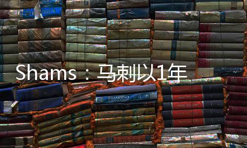 麦克劳克林出战了46场比赛