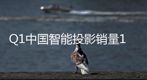 国智助其在量额榜上位居首位