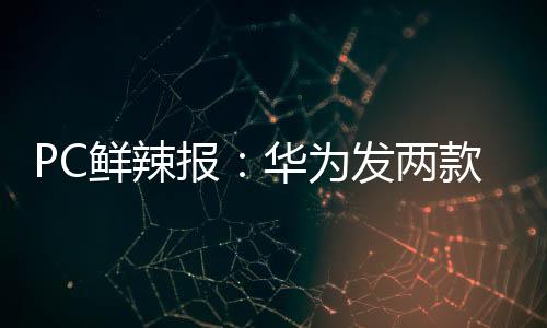 两款屏幕素质极为出色