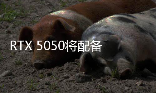 显存从GDDR7降级至GDDR6