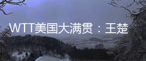 王楚取得WTT美国大满贯开门红