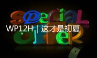WP12H｜这才是初夏的正确打开方式	！