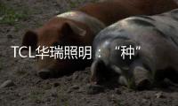 TCL华瑞照明：“种”一片翠绿
，让生活和工作更添生机