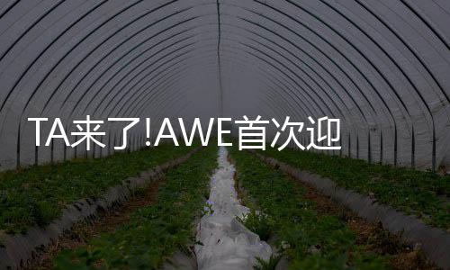 恒洁极致的次迎产品背后