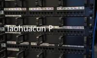 Taohuacun Panels Shines in Dubai, Capturing International Market