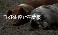 TikTok停止在美服务