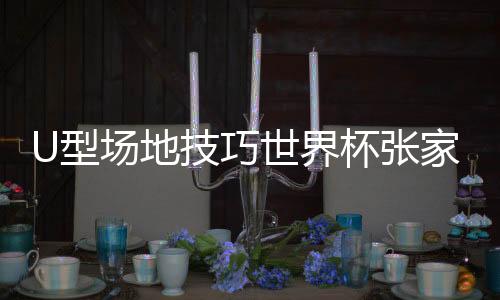 场地分为两组进行比赛
