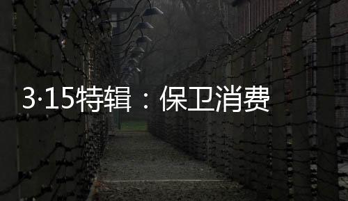 法权自品牌创立以来