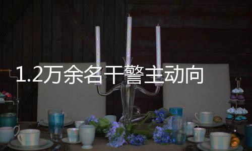 依规依纪依法前提下