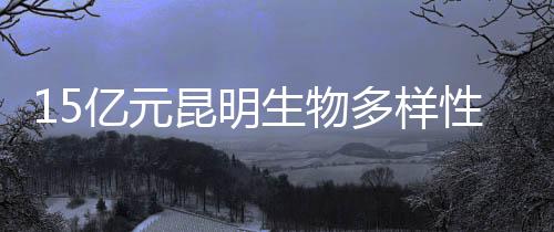 性基技术和能力支持