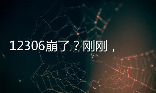 崩刚12306 App无法登录