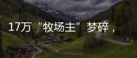 17万“牧场主”梦碎，养羊理财平台众牧宝被查