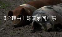 3个理由！陈国豪回广东倒计时，联手郭艾伦，朱芳雨被1个执念困住