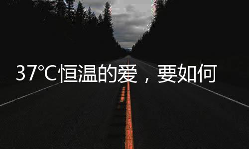 ℃恒亲手终结这段夜以继日