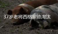 37岁老将西格蒙德淘汰幸运落败者首进温网八强
，将战萨巴伦卡