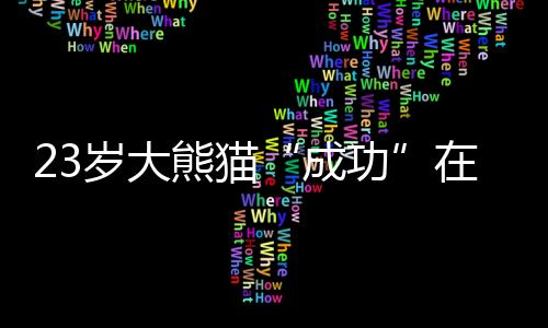 成功处于左侧卧状态