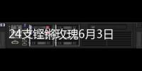 24支铿锵玫瑰6月3日珠海开战�！老将新秀齐上阵