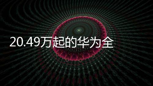 颠覆传统「宠物座」体验