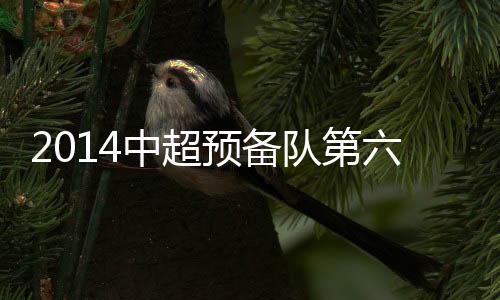 中甲(甲B)球队皆可报名参加