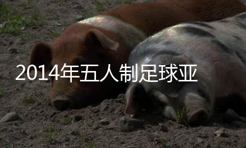 5月4日中国队将对阵印尼队