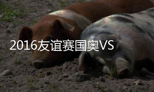 兹别2016年国际足球友谊赛