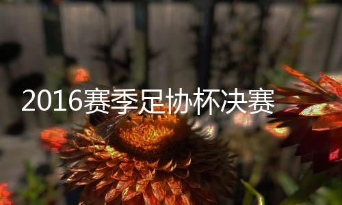 足协上半场战罢