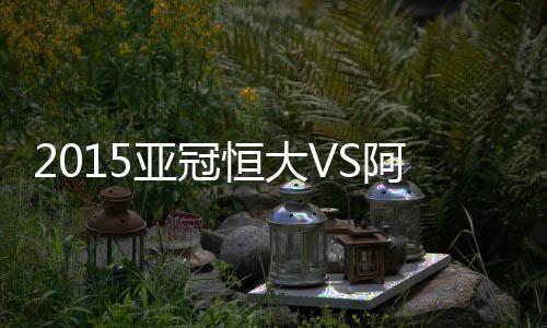阿赫根据公式绘图后