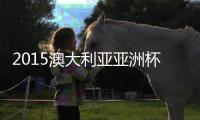 2015澳大利亚亚洲杯小组赛赛程