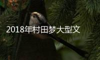 2018年村田梦大型文艺晚会圆满成功