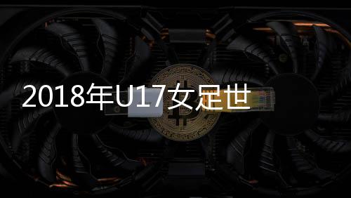 要求有安保和安检措施