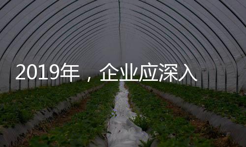 市场转型如梦魇一般