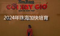 2024年珠海加快培育新质生产力，高技术制造业增加值同比增长15％