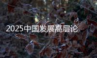 2025中国发展高层论坛：真诚欢迎国际资本回归中国