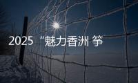 2025“魅力香洲 筝的爱你”风筝会在海天公园沙滩举办，大湾区7支风筝队展风采