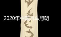 2020年中国汽车照明十大品牌“踏实干”年轻化