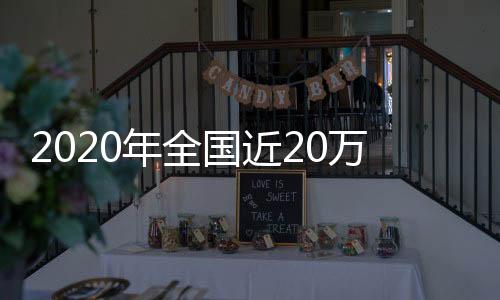 给予党纪政务处分119224人