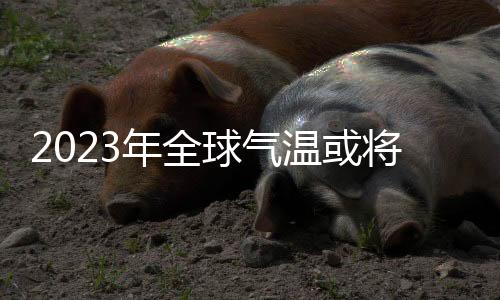 根据该中心的年全数据显示