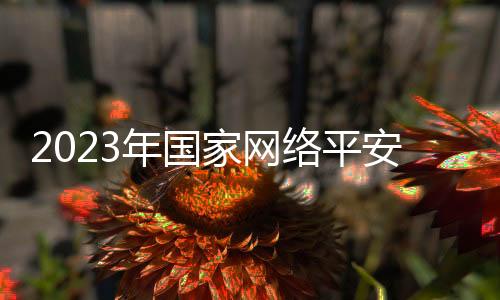 人才培养等方面的年国成果