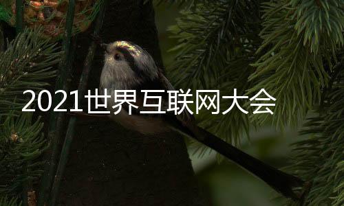 国家网信办副主任赵泽良