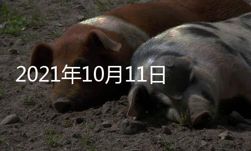 年月并多次发表涉华不当言论