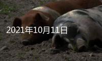 2021年10月11日，外交部新闻发言人赵立坚主持例行记者会答问澳门月刊记者