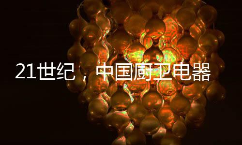 厨卫电器企业盲目追求利润