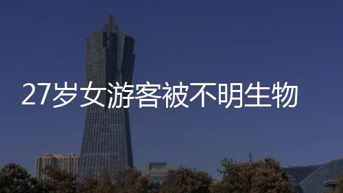 问询笔录等进行了全流程调查