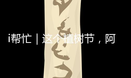 在春日的个心映照下